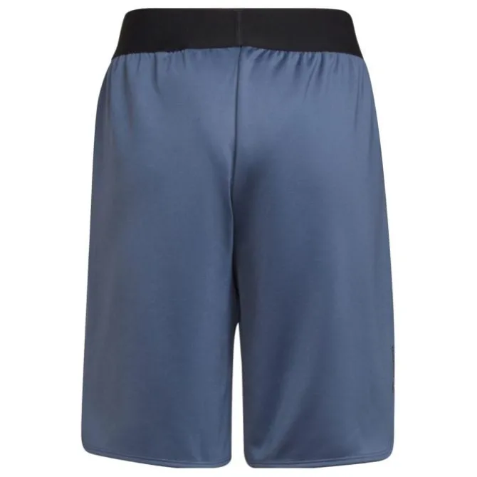 adidas Laufshorts>D4S Shorts Blau
