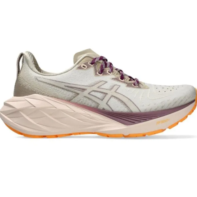 Asics Neutrale Laufschuhe | Allround Laufschuhe>Novablast 4 TR Grau