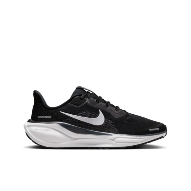 Nike Laufschuhe>Air Zoom Pegasus 41
