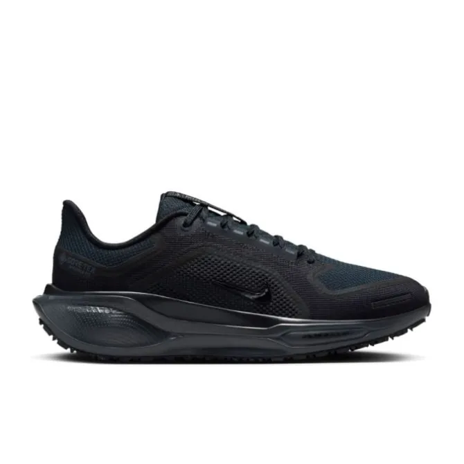 Nike Neutrale Laufschuhe | Allround Laufschuhe>Pegasus 41 Gore-Tex Schwarz