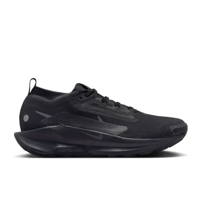Nike Neutrale Laufschuhe | Trailrunning Schuhe>Pegasus Trail 5 Gore-Tex Schwarz