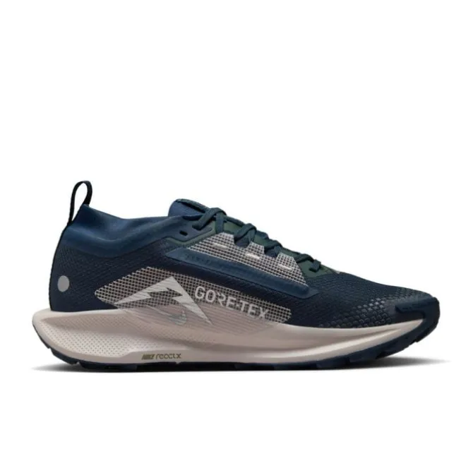 Nike Neutrale Laufschuhe | Trailrunning Schuhe>Pegasus Trail 5 Gore-Tex Blau