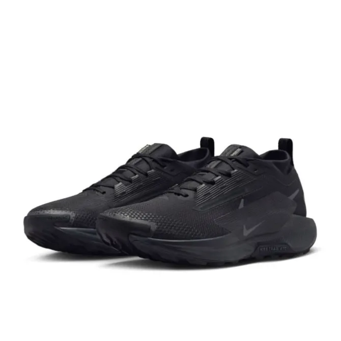 Nike Neutrale Laufschuhe | Trailrunning Schuhe>Pegasus Trail 5 Gore-Tex Schwarz