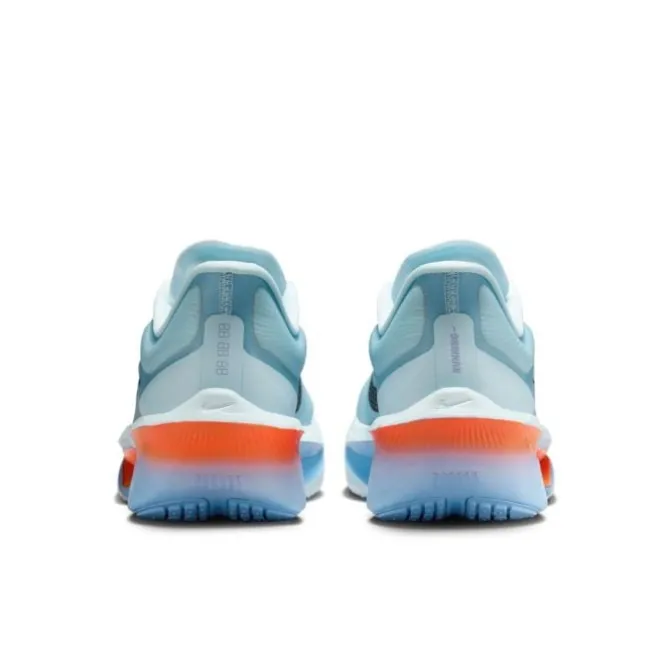 Nike Neutrale Laufschuhe | Carbon Laufschuhe>Zoom Fly 6 Blau
