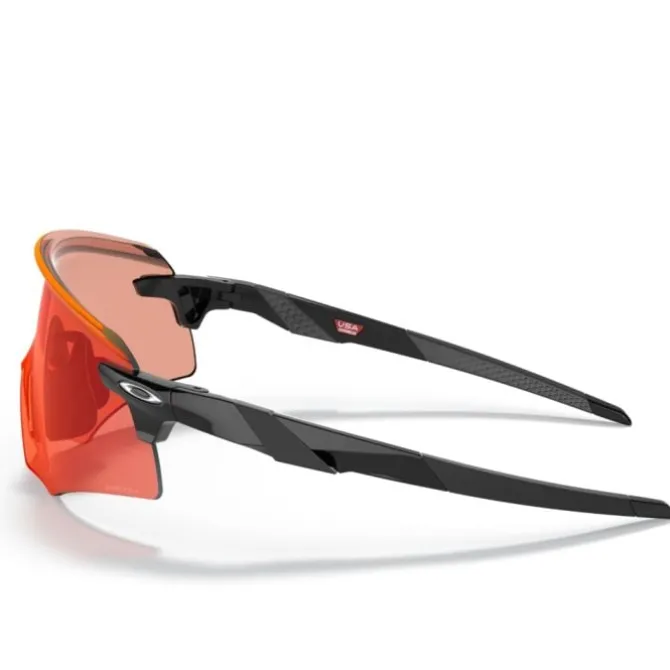 Oakley Sonnenbrillen>Encoder (Polished Black)