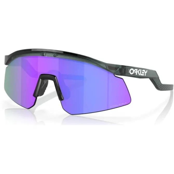 Oakley Sonnenbrillen>Hydra (Prizm Violet) Schwarz