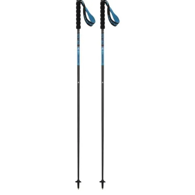 Salomon Nordic Walking Stöcke>Sense Poles Schwarz