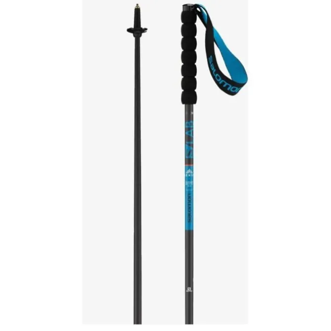 Salomon Nordic Walking Stöcke>Sense Poles Schwarz