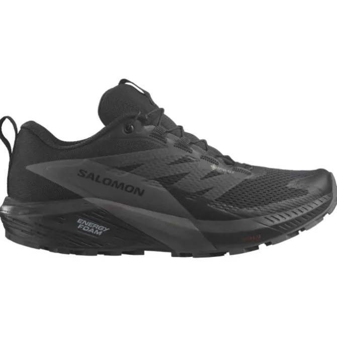 Salomon Wanderschuhe Angebot | Neutrale Laufschuhe>Sense Ride 5 GTX Schwarz