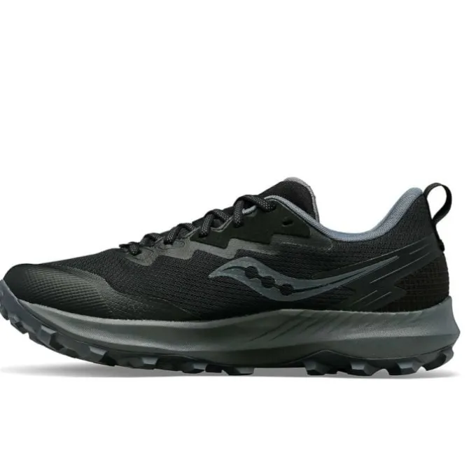 Saucony Neutrale Laufschuhe | Trailrunning Schuhe>Peregrine 14 GTX Schwarz