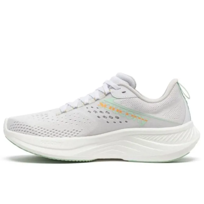 Saucony Neutrale Laufschuhe | Allround Laufschuhe>Ride 17 Grau