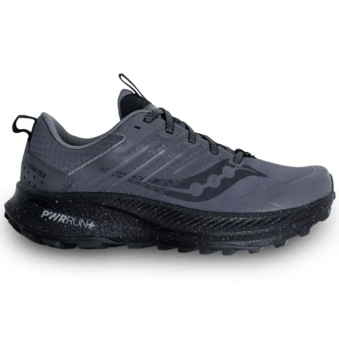 Saucony Neutrale Laufschuhe | Trailrunning Schuhe>Ride TR2 GTX Grau